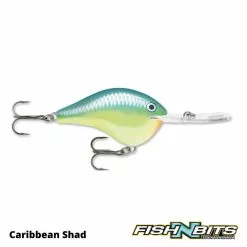 Rapala - DT20 -Rods Shop 1 00bc7bf9 5596 4114 b66d 7188d0fae180