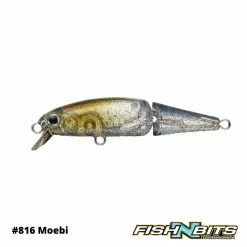 Evergreen - Wiggla 40 -Rods Shop 1 ca85288a a27e 4932 a77b f6d8f9ec3be8