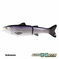 Baitsanity - Explorer Glide Gen 2 6 Baitsanity - Explorer Glide Gen 2 -Rods Shop 2 3f58a7c5 79d1 4868 b22d 07e01b4e50c1