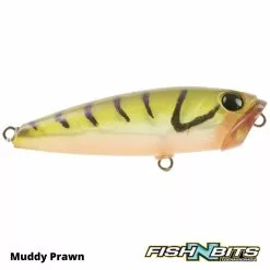 Semi Hardz - Soft Pop 50 -Rods Shop 2 e20b127f 9bb0 4417 a16f 6a8b4d0bcf38