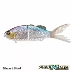 Shimano - Bantam Bt Sraptor -Rods Shop 3 a66f9709 cee3 4f57 9a51 ed943e6b692d