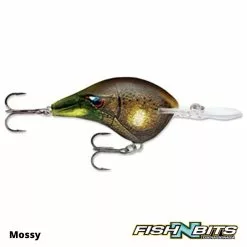 Rods Shop -Rods Shop 5 8ad2fd53 1d52 4f9c b518 eab93b096b26