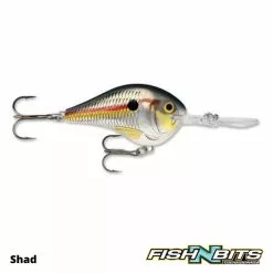 Rapala - DT20 -Rods Shop 6 402e0d00 bbe9 4334 a21b 37529a2c1080