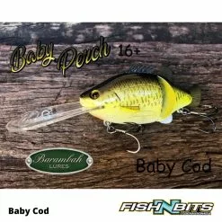 Barambah Lures Barambah - Baby Perch 14 Barambah Lures Barambah - Baby Perch -Rods Shop 7 4b1db45a 9b52 472f 81ed a3ea31dc7fc2