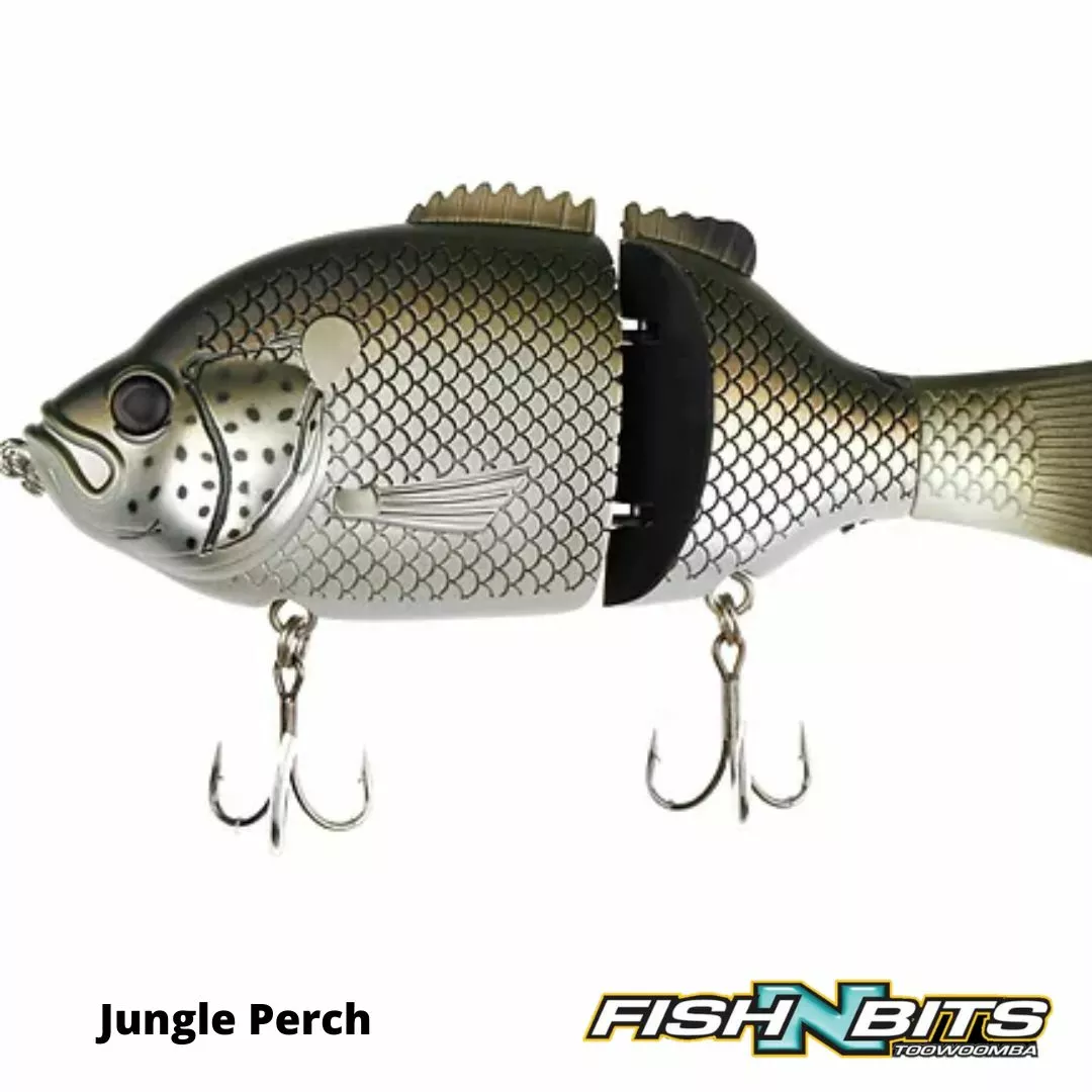 Baitsanity - Explorer Gill 6 1 Baitsanity - Explorer Gill 6