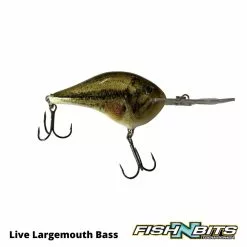 Rapala - DT20 -Rods Shop 9 1bbbd78f 1b90 4be3 8dce e4b54070b9a3