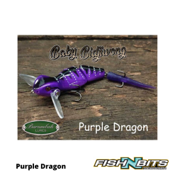 Rods Shop -Rods Shop Barambah Baby Bidjiwong 3