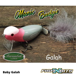Rods Shop 11 Barambah Lures Barambah - Manic Budgie