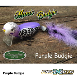 Rods Shop -Rods Shop Barambah Manic Budgie 3