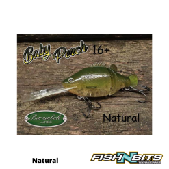 Barambah Lures Barambah - Baby Perch 11 Barambah Lures Barambah - Baby Perch -Rods Shop Barambah baby Perch 1