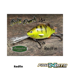 Rods Shop 5 Barambah Lures Barambah - Baby Perch