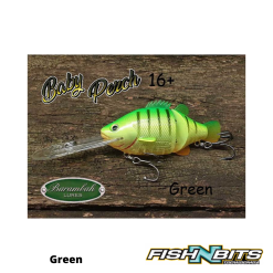 Rods Shop -Rods Shop Barambah baby Perch 5