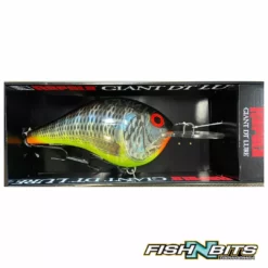 Rods Shop 15 Rapala - Giant DT Lure
