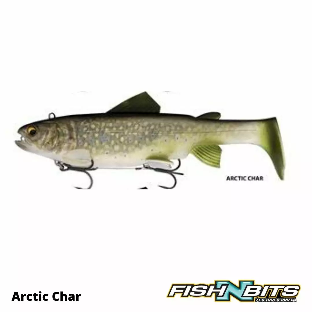Daiwa - Live Trout 25cm 230g 4 Daiwa - Live Trout 25cm 230g - Image 4