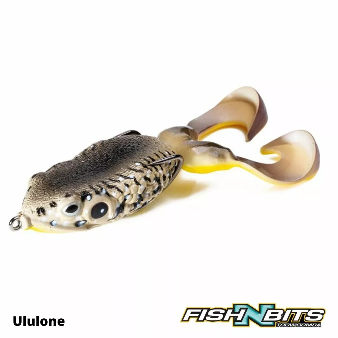 Molix - Supernato Frog 2 Molix - Supernato Frog - Image 2