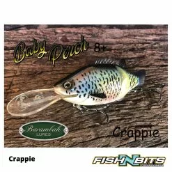 Barambah Lures Barambah - Baby Perch 15 Barambah Lures Barambah - Baby Perch -Rods Shop lilbill70f 4 62bc37d3 40b2 41ab a196 396b88ea7e57