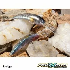 Smak - Brolga -Rods Shop smak hardbodies 7 3b93b950 0cda 4716 8205 751b024daf66